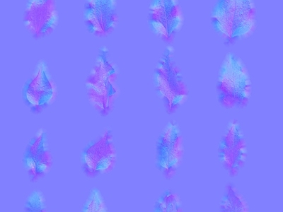 绿植墙