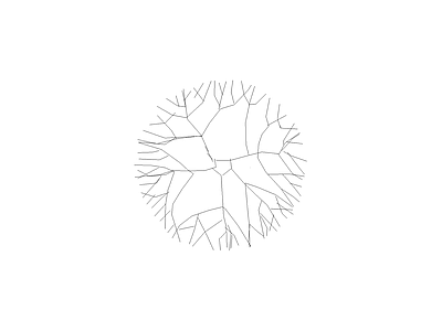 现代植物图块 刺槐