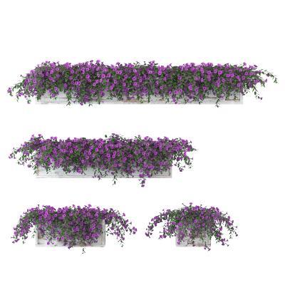 现代植物盆栽