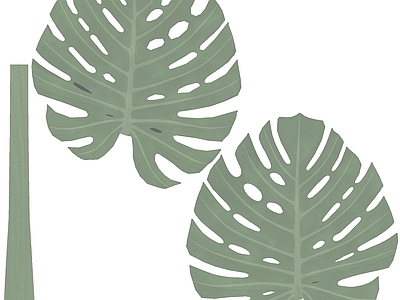 绿植墙