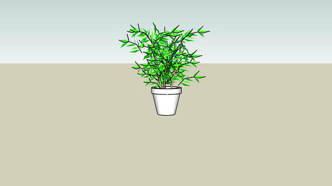 植物盆栽 其他 植物 花瓶