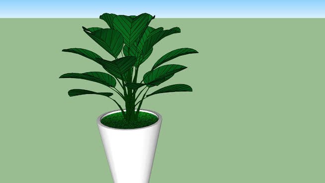 植物 其他 花瓶 画