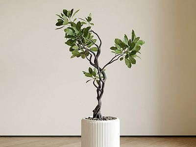 造型绿植盆栽