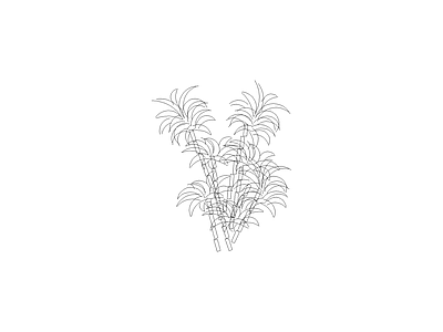 绿植 植物图例