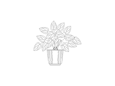 绿植 植物图例