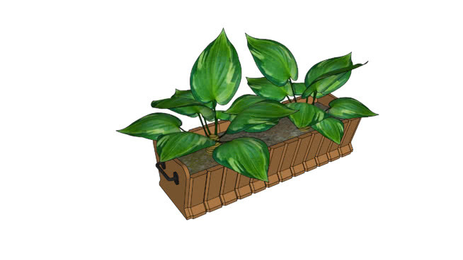 the flowerpot. 其他 画 铅笔 篮子