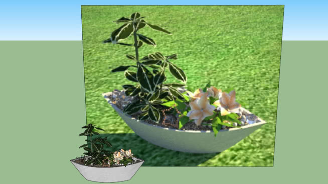Flowergroup船 植物 花盆 其他 画 盆
