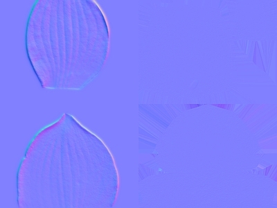 其他法线