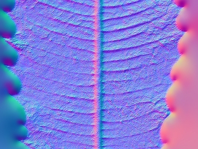 其他法线