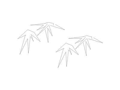 绿化苗木表分档 早竹