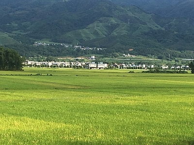 白天风景