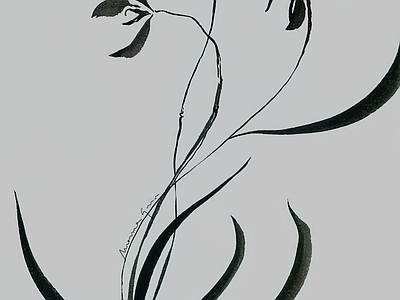 绿植墙