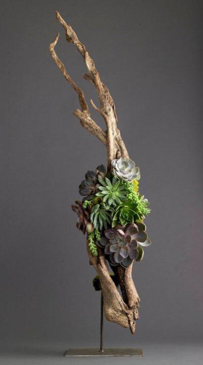植物墙 贴图 自然元素
