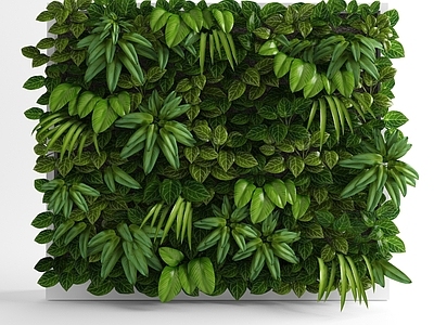 现代绿植墙