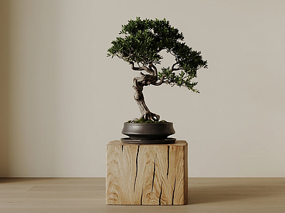 造型盆景绿植盆栽