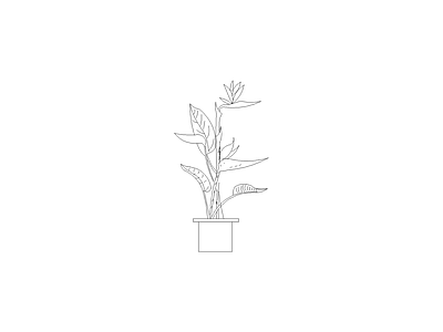绿植 花瓶花卉绿植装饰摆件图块