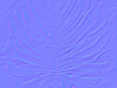 其他法线