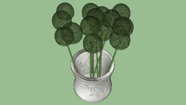 盆栽植物 南美洲番荔枝 植物 过滤器 其他 菜花
