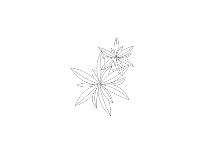种绿植盆栽图块 植物