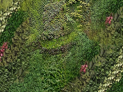 绿植墙