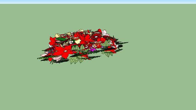 棺材花 其他 花 植物 画 演出