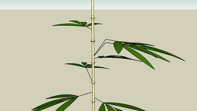 竹子 画 食蜂鸟 竹节虫 其他