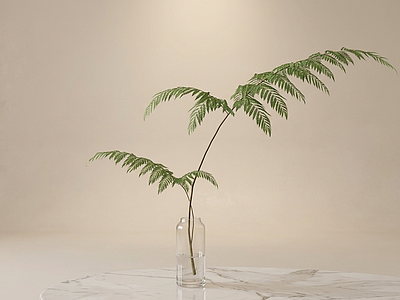 造型绿植草本植物