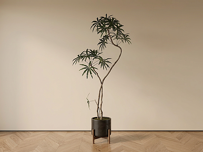 造型绿植盆栽