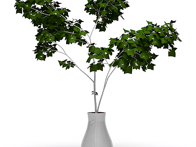 带盆绿植盆栽