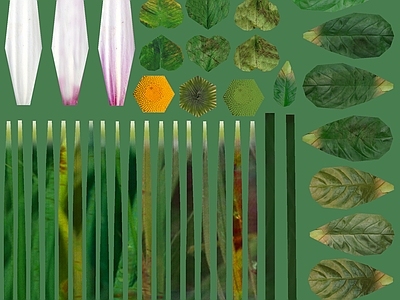 绿植墙