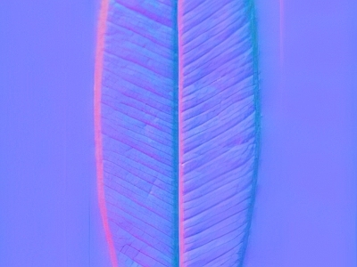 其他法线
