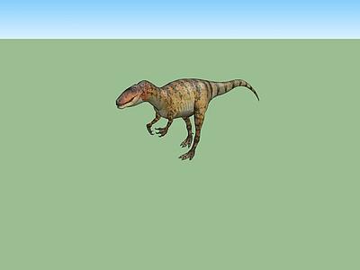 Carcharodontosaurus （卡查龙）