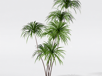 多杆绿植组合