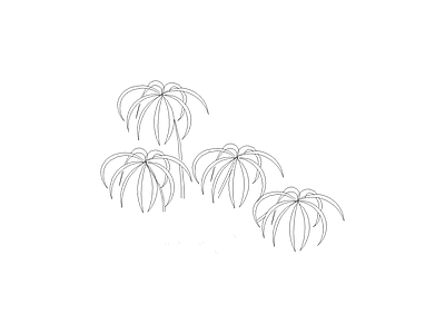 乔木种植 常用植物图例
