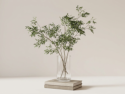 装饰绿植灌木