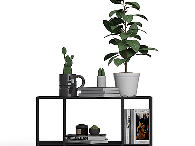 现代简约植物架