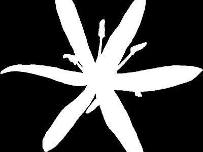 其他黑白凹凸