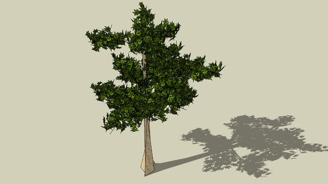 详细树[枫树] 植物 画 迷雾 天空 其他