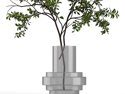 盆栽植物模型