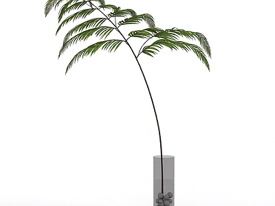 带盆绿植模型