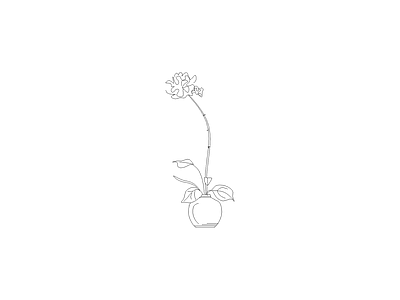 花 植物图块