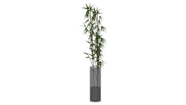竹简极简设计现代装饰植物 笔 其他 棍 筷子
