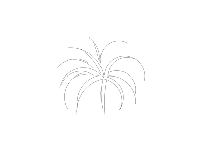 花 备用植物图例