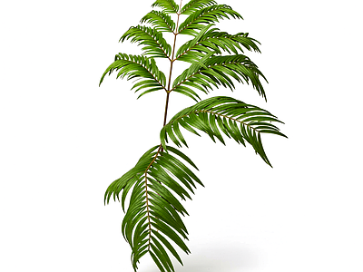 绿色枝叶植物模型