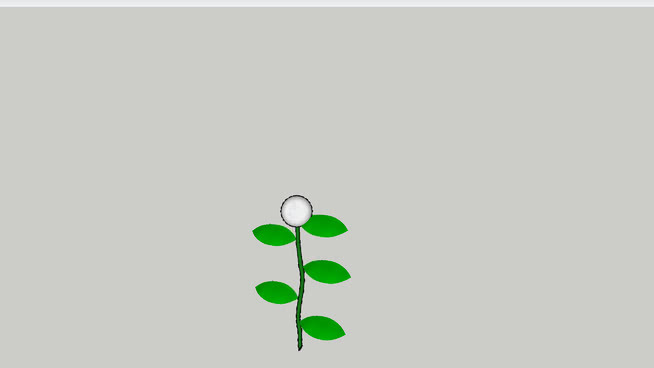 棉花植株 饰品 纽扣 项链 其他 绳子