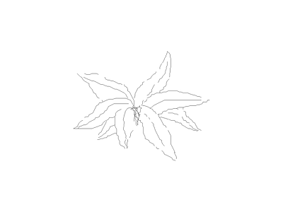 种绿植盆栽图块 植物