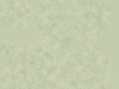 硅藻泥