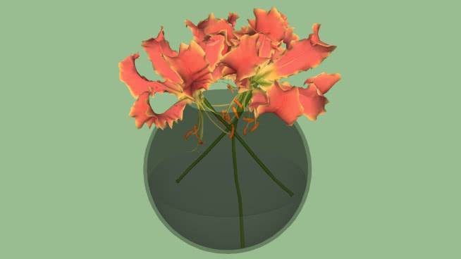 小花泡花 花 其他 挂钟