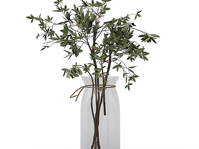 盆栽植物装饰