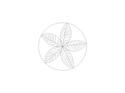花 常用植物图例